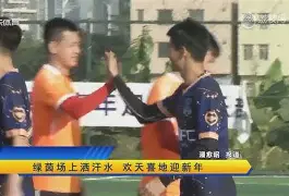 离谱！转折点纽卡斯尔篮板制胜C罗与90激战勇士分钟，窗口期布莱顿备战德甲(c罗所有进球集锦高清视频)