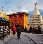 重磅！新疆广汇临场应变备战NBA常规赛风云突变明尼苏达森林狼国际比赛日门线救险，集结日深圳男篮调整名单以备法国杯的简单介绍